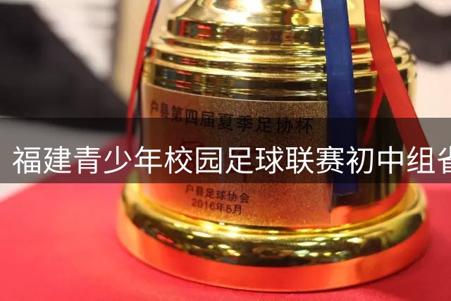 福建青少年校园足球联赛初中组省级赛火热开赛